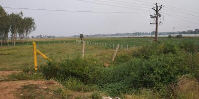  Industrial Land 19375 Sq.ft. for Sale in Umbergaon, Valsad