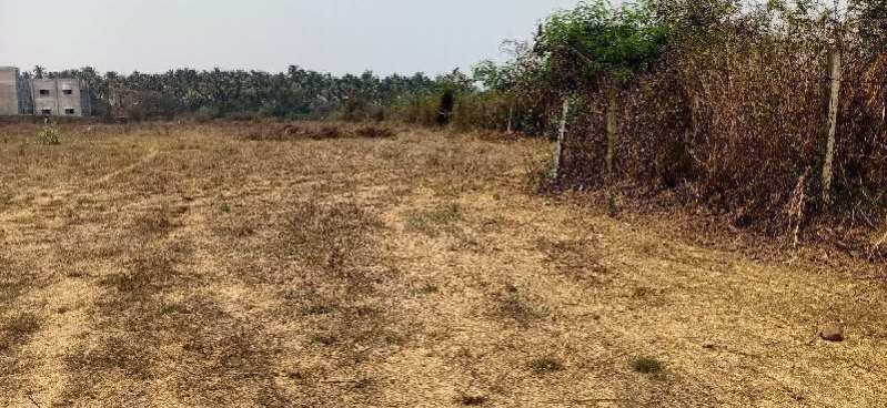  Industrial Land 75000 Sq.ft. for Sale in Pardi, Valsad