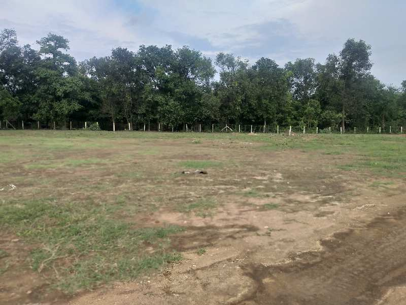  Industrial Land 10756 Sq.ft. for Sale in Bhilad, Valsad