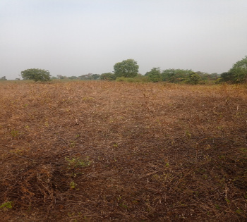  Industrial Land 30000 Sq.ft. for Sale in Moti Daman, 