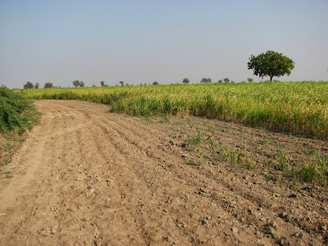  Agricultural Land 3 Acre for Sale in Sarigam, Valsad