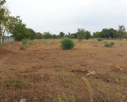  Industrial Land 60000 Sq.ft. for Sale in Chikhli, Navsari