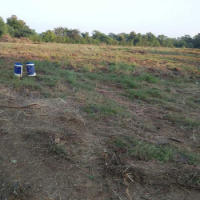  Industrial Land for Sale in Chikhli, Navsari