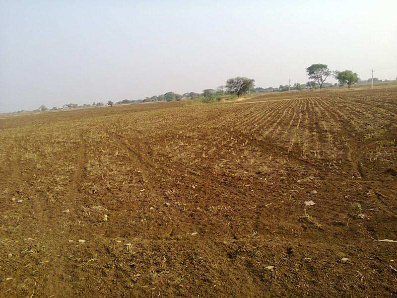  Agricultural Land 2 Acre for Sale in Sarigam, Vapi