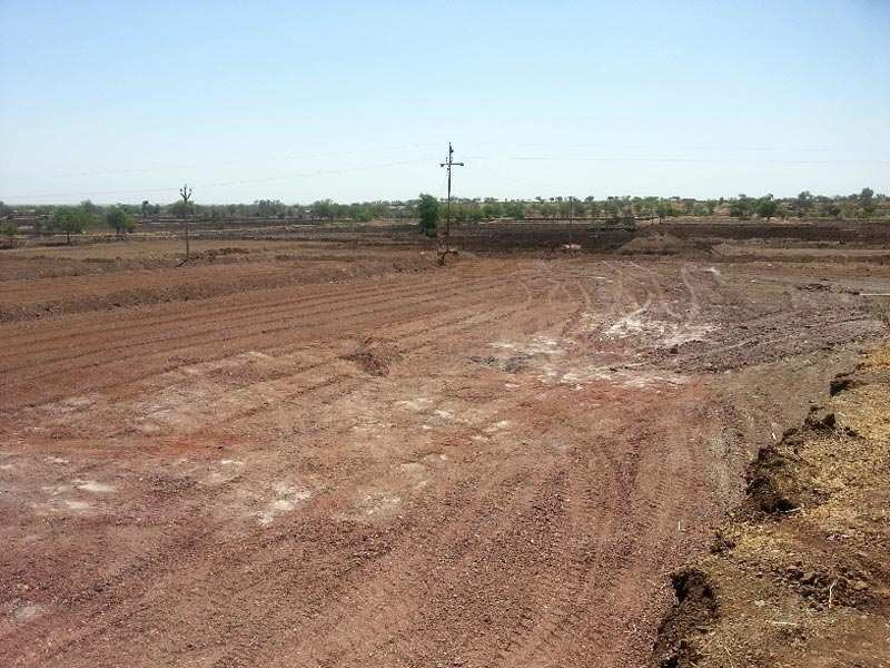  Agricultural Land 14 Acre for Sale in Pardi, Valsad