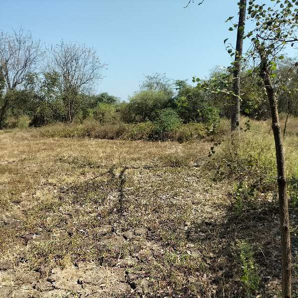  Agricultural Land 2 Acre for Sale in Umbergaon, Valsad