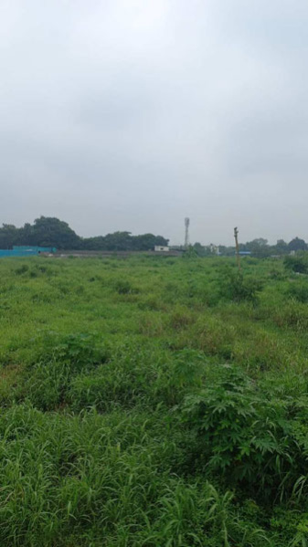  Agricultural Land 5 Acre for Sale in Vansda, Navsari