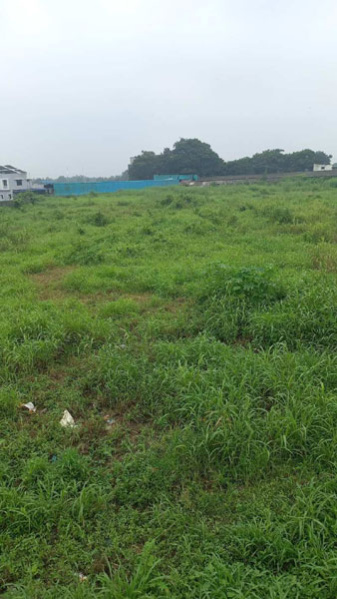  Agricultural Land 20 Acre for Sale in Umbergaon, Valsad