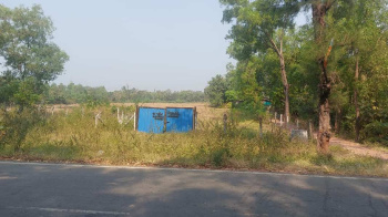  Industrial Land for Sale in Mangrol, Surat