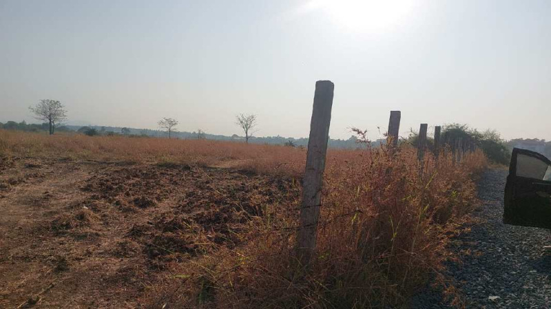  Industrial Land 59000 Sq.ft. for Sale in Umbergaon, Valsad