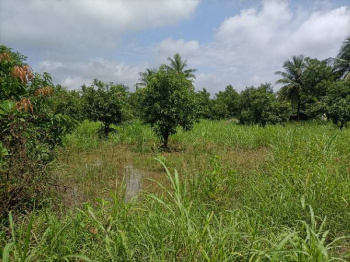  Agricultural Land for Sale in Sarigam GIDC, Vapi