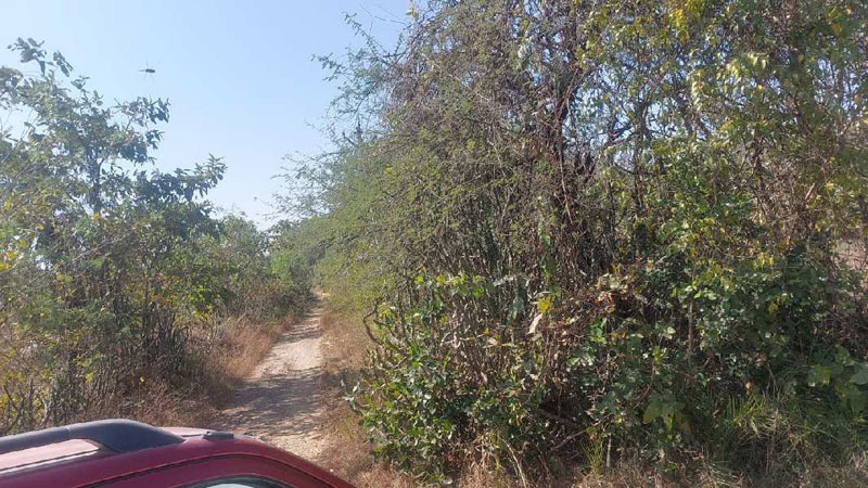  Agricultural Land 22 Acre for Sale in Umbergaon, Valsad