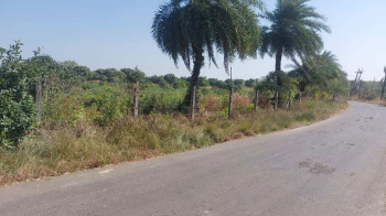  Agricultural Land for Sale in Dharampur, Valsad