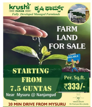 1 BHK Farm House for Sale in Nanjangud, Mysore