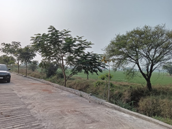  Agricultural Land for Sale in Khajuri Sadak, Bhopal