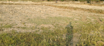  Agricultural Land for Sale in Vidhya Nagar Colony, Kamareddy