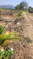  Residential Plot for Sale in Murud, Raigad