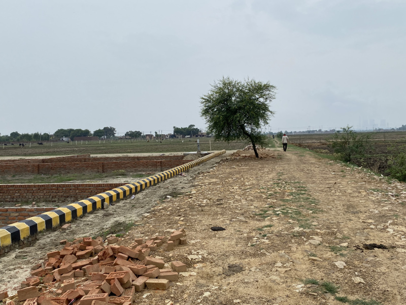 Bara, Prayagraj photo 5