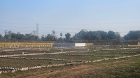 Residential Plot for Sale in Bihta, Patna