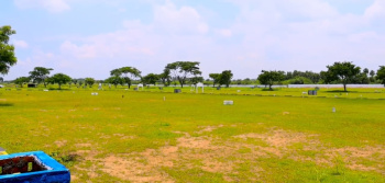  Residential Plot for Sale in Kalathur, Kanchipuram