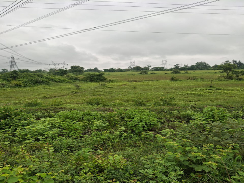  Agricultural Land 14 Acre for Sale in Katol, Nagpur