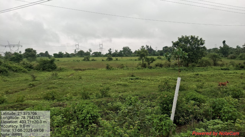  Agricultural Land 10 Acre for Sale in Katol, Nagpur
