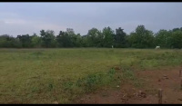  Agricultural Land for Sale in Amravati Road, Nagpur