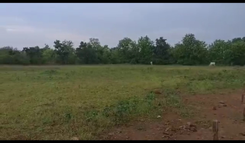  Agricultural Land 22 Ares for Sale in Amravati Road, Nagpur