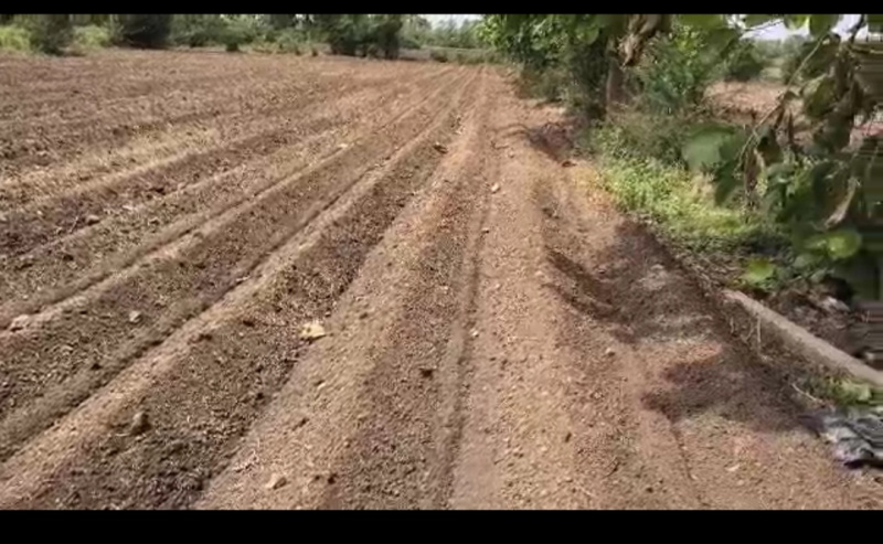  Agricultural Land 22 Ares for Sale in Amravati Road, Nagpur