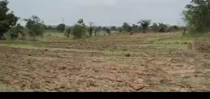  Agricultural Land 250 Ares for Sale in Amravati Road, Nagpur