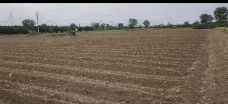  Agricultural Land 4 Acre for Sale in Umred, Nagpur