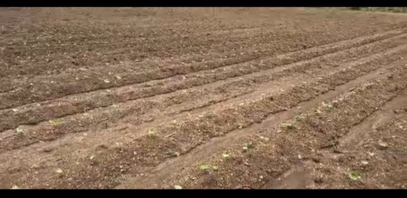  Agricultural Land 4 Acre for Sale in Umred, Nagpur