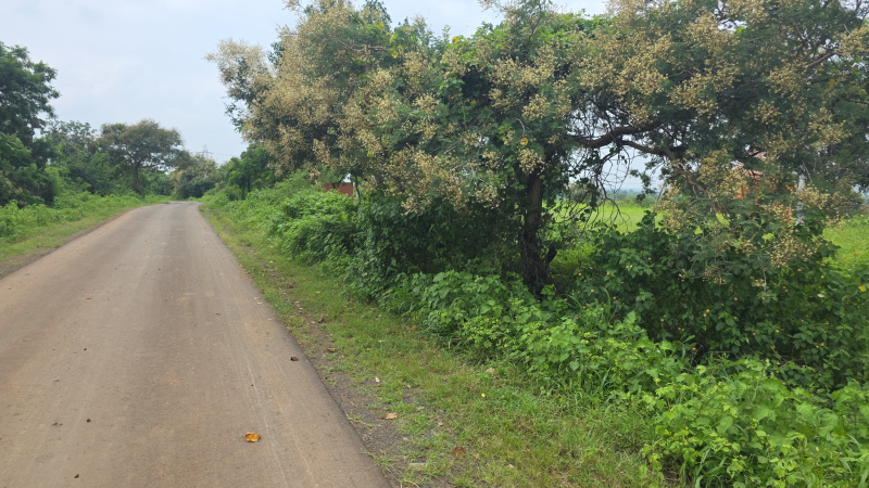  500 Acre Agricultural/Farm Land for Sale in Narkhed, Nagpur