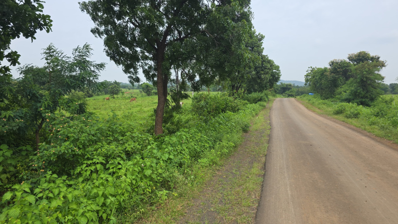  1200 Acre Agricultural/Farm Land for Sale in Narkhed, Nagpur