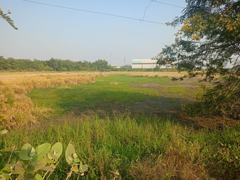 4 Acre Industrial Land for Sale in Bhandara Road, Nagpur