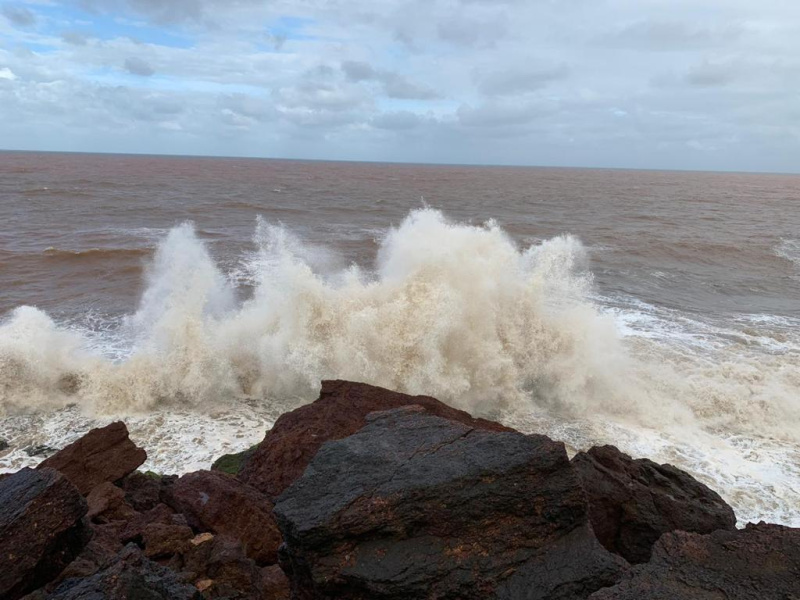  135 Acre Agricultural/Farm Land for Sale in Gavade Ambere, Ratnagiri