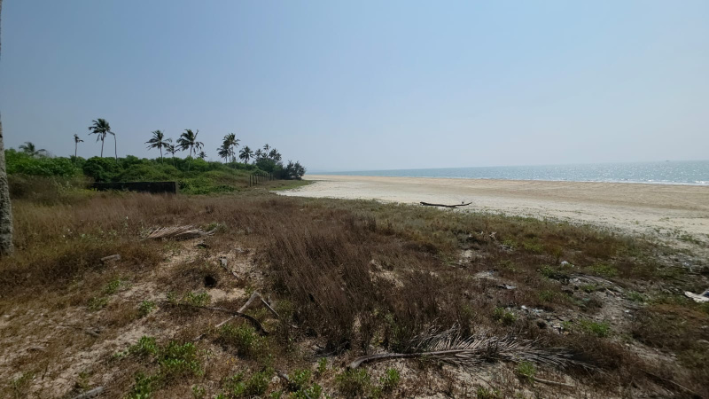  72000 Sq. Meter Agricultural/Farm Land for Sale in Cavelossim, Margao, Goa