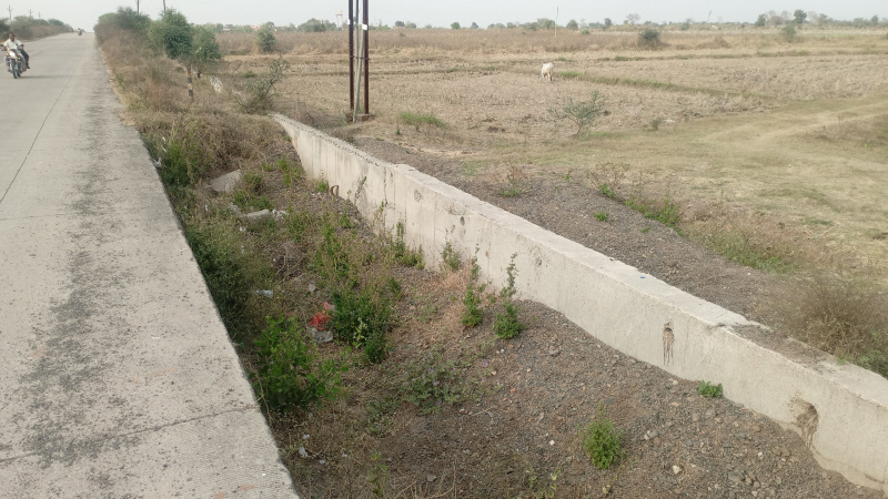  260 Acre Agricultural/Farm Land for Sale in Umred, Nagpur