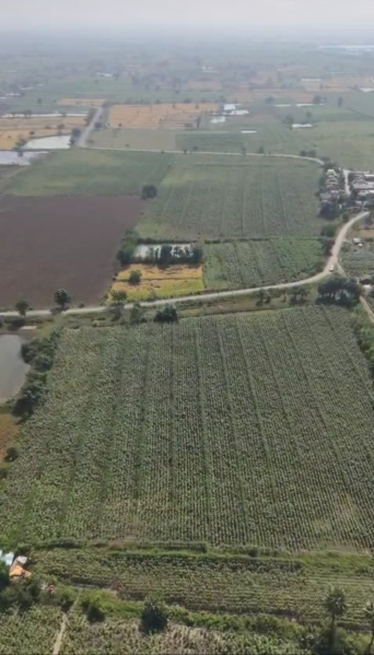  8 Acre Agricultural/Farm Land for Sale in Tadoba, Chandrapur