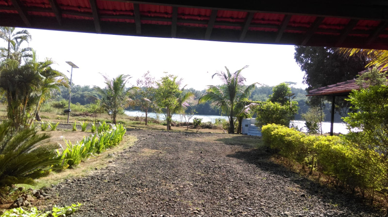  3 Acre Agricultural/Farm Land for Sale in Tadoba, Chandrapur