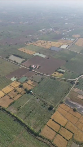  3 Acre Agricultural/Farm Land for Sale in Tadoba, Chandrapur