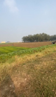  Commercial Land for Rent in Sampatchak, Patna