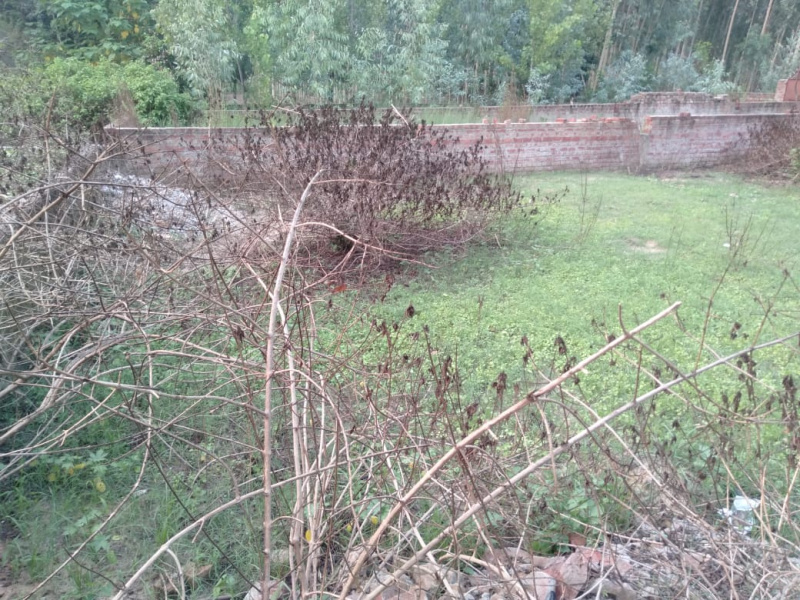  Residential Plot 12 Marla for Sale in Gardhiwala, Hoshiarpur