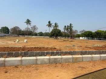  Residential Plot for Sale in Thimmapur, Hyderabad