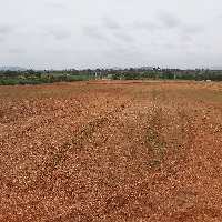  Agricultural Land for Sale in Gudibanda, ChikBallapur