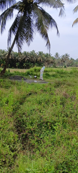  3 Acre Agricultural/Farm Land for Sale in Chittur, Palakkad