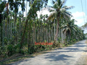  Agricultural Land for Sale in Bhathu Basti, Port Blair