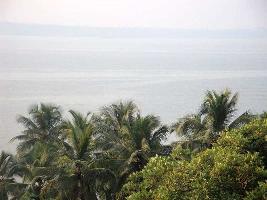 4 BHK Residential Plot for Sale in Bambolim, North Goa, 