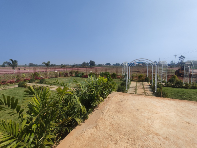  Residential Plot 200 Sq. Yards for Sale in Kohir, Sangareddy