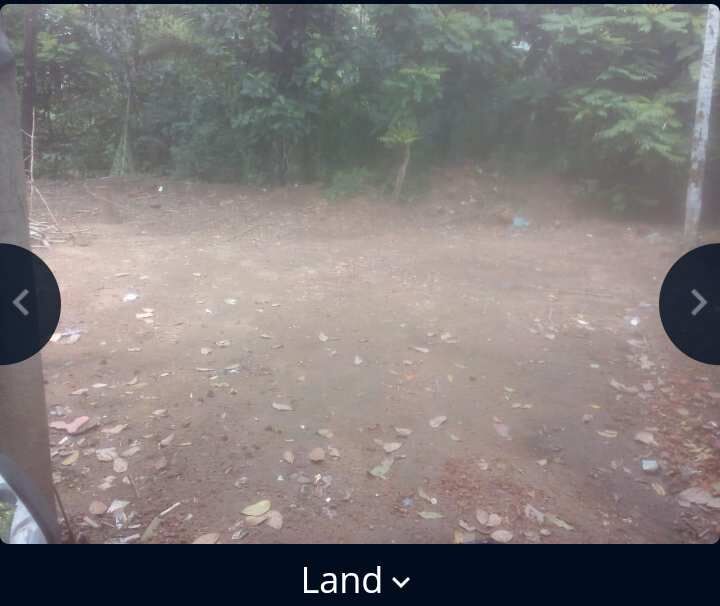  Residential Plot 6 Cent for Sale in Alangad, Kochi